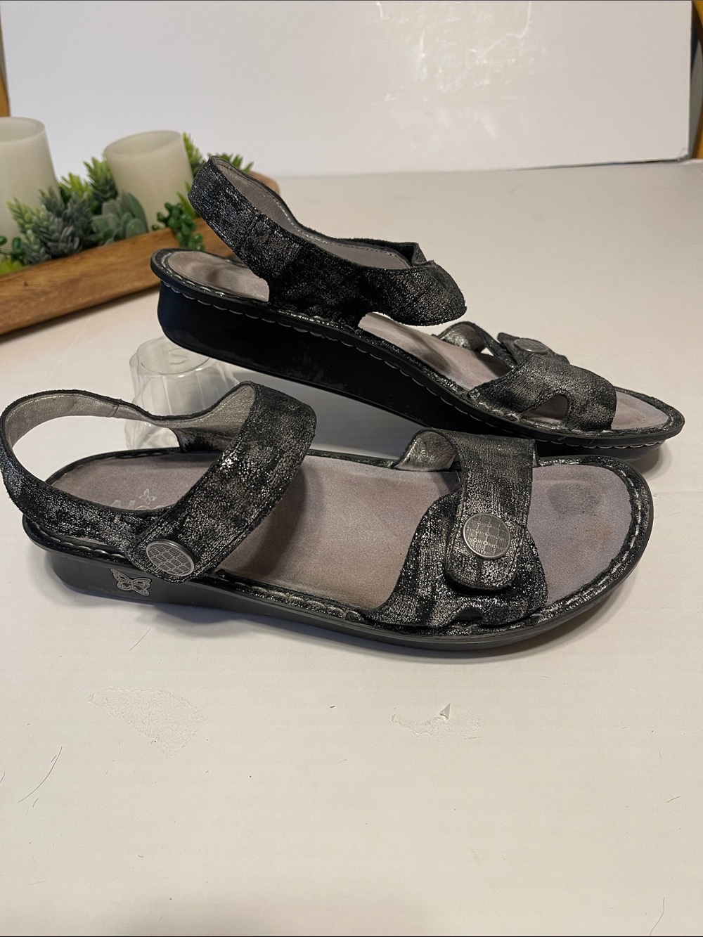 Alegria Metallic Black Slingback Sandals